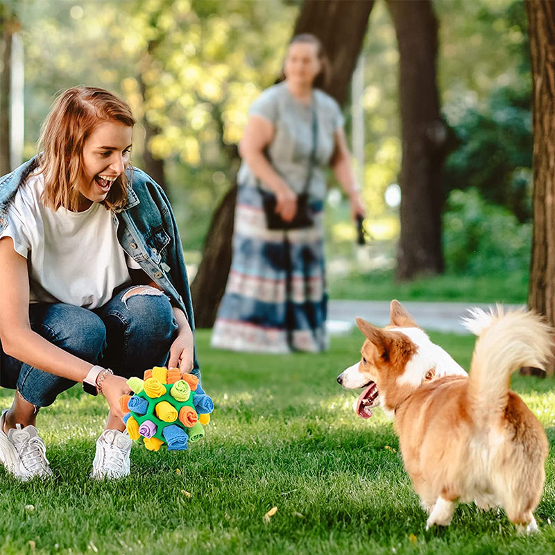 Kauspielzeug für Hunde🐶