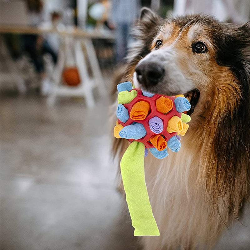 Kauspielzeug für Hunde🐶