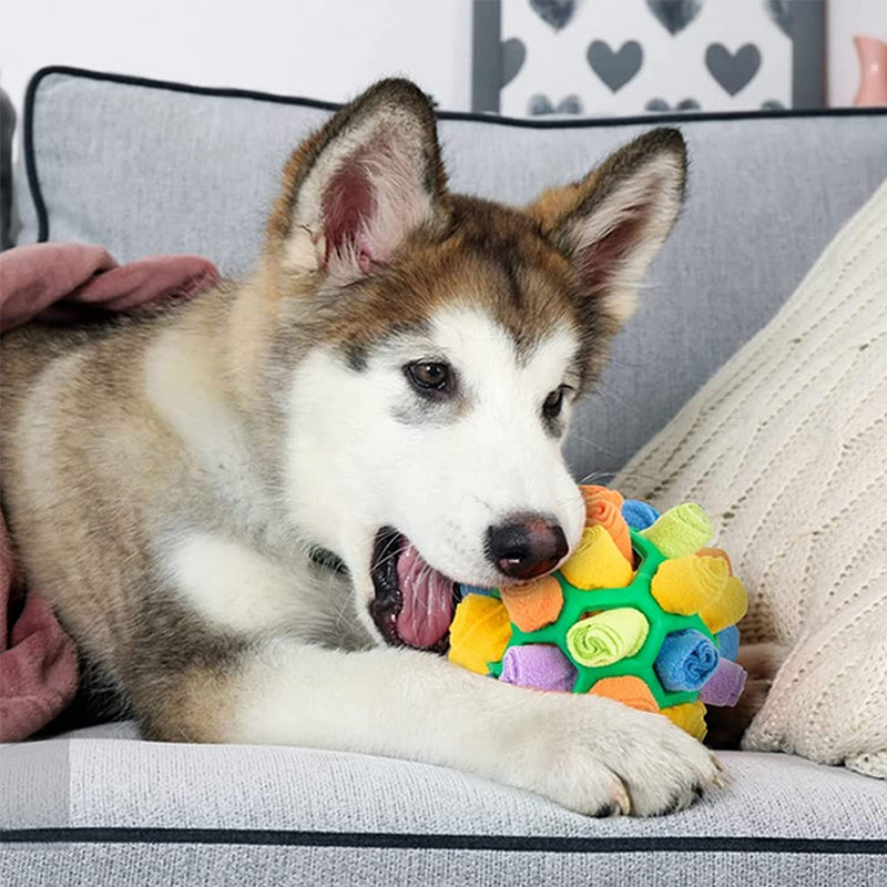 Kauspielzeug für Hunde🐶