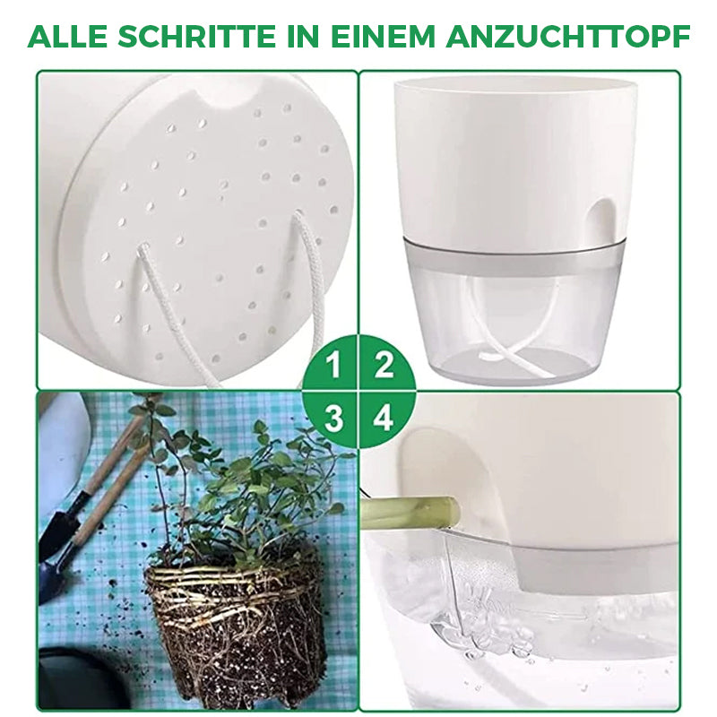 🌿Selbstbewässernder Blumentopf🌹KAUFEN2/3ERHALTEN15%/25% RABATT🎀