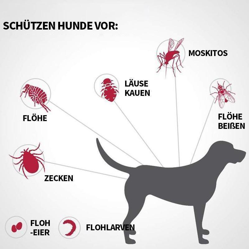 Haustier Anti Floh & Zecken Badesalz Kugel