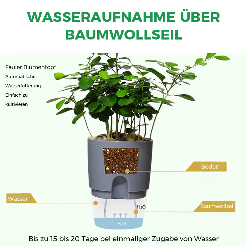 🌿Selbstbewässernder Blumentopf🌹KAUFEN2/3ERHALTEN15%/25% RABATT🎀