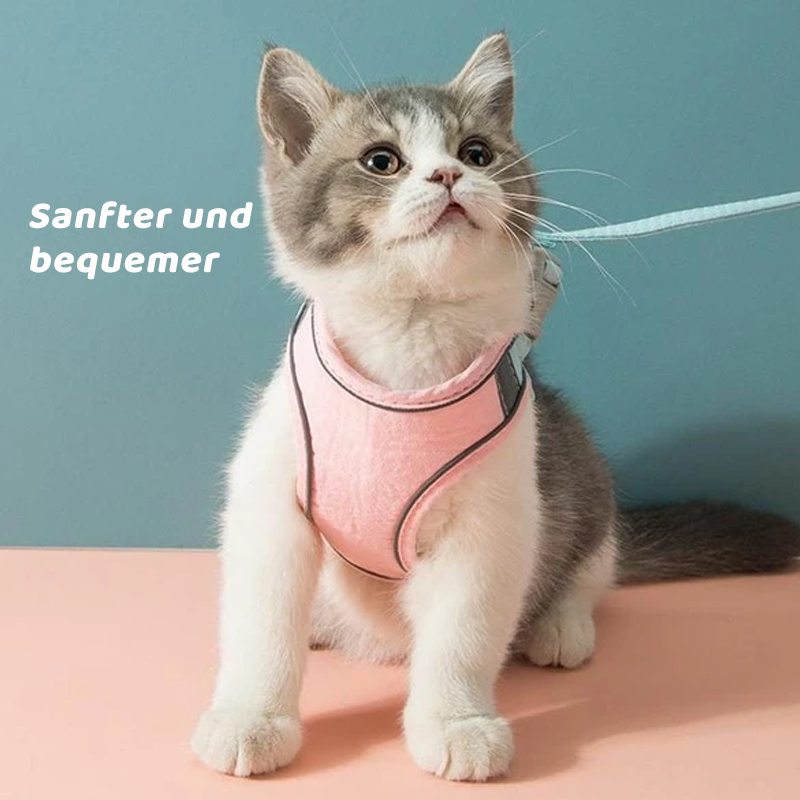 Haustier Westengurt und Leine Set🐱KAUFEN SIE 2/3, ERHALTEN SIE 15/25 % RABATT