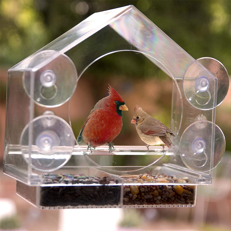 🦉Fenster Vogelhaus Futterspender🦜