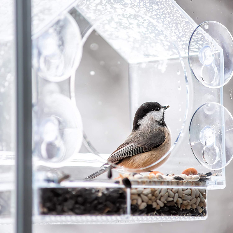 🦉Fenster Vogelhaus Futterspender🦜